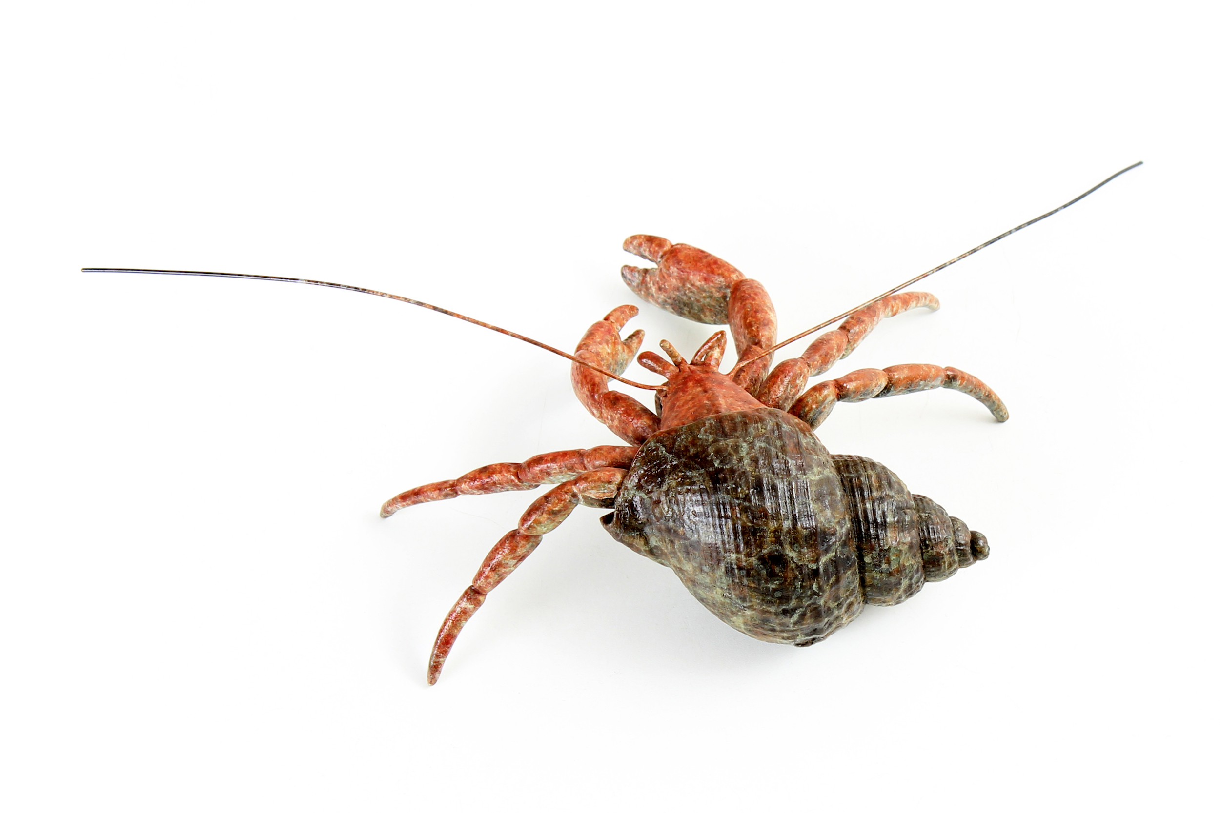 Hermit crab in bronze