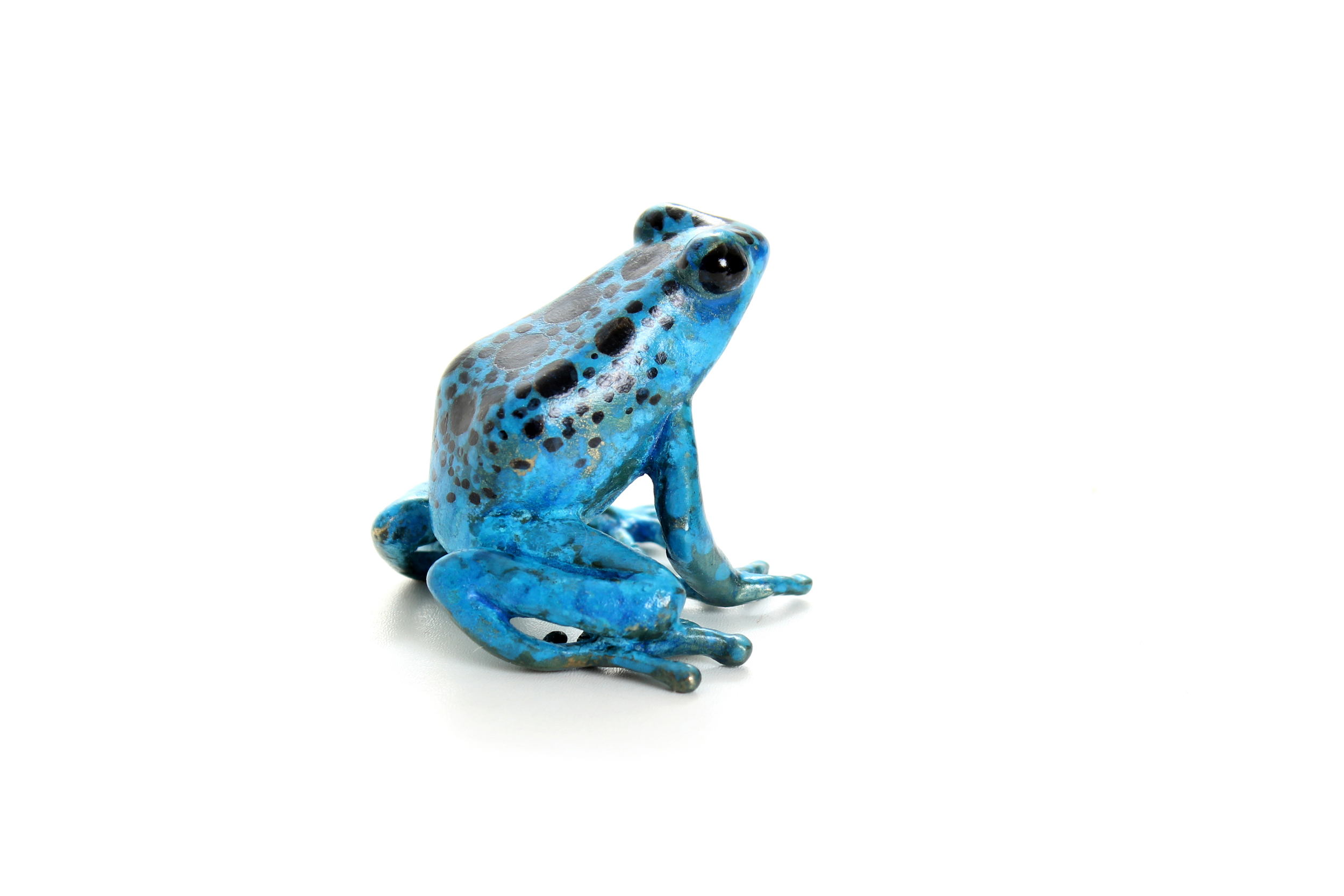 Poison dart frog in bronze