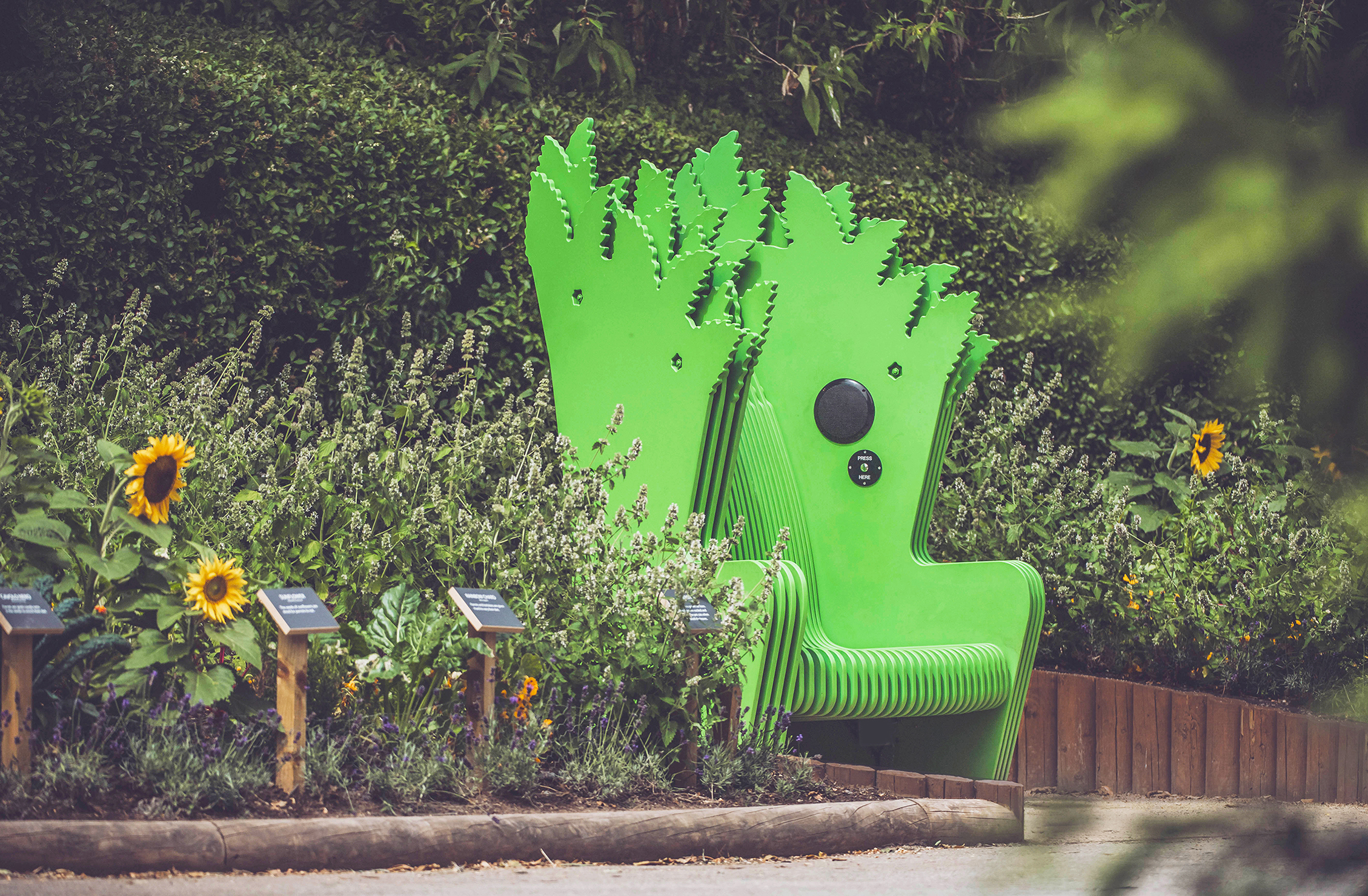 catmint chair sunflowers jane revitt chester zoo copy 1