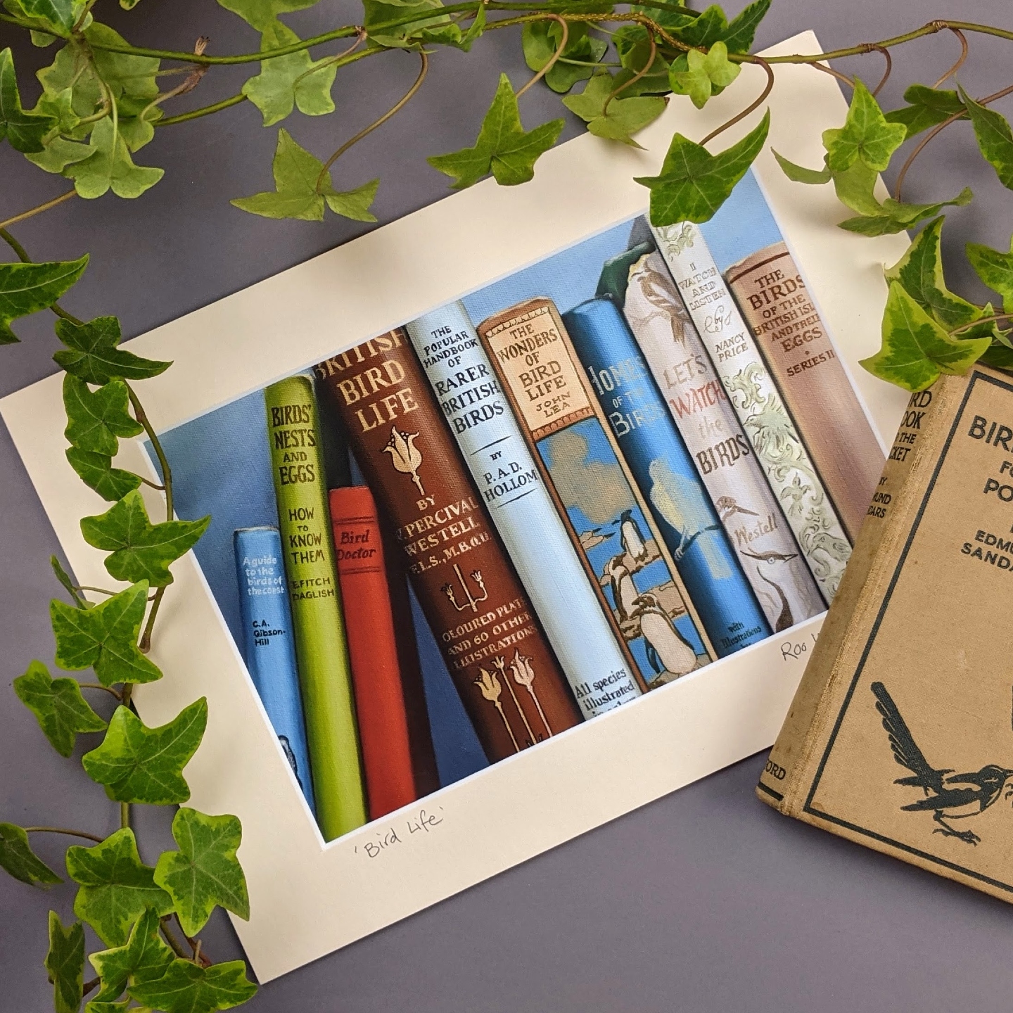 Bird Life Book Art Print