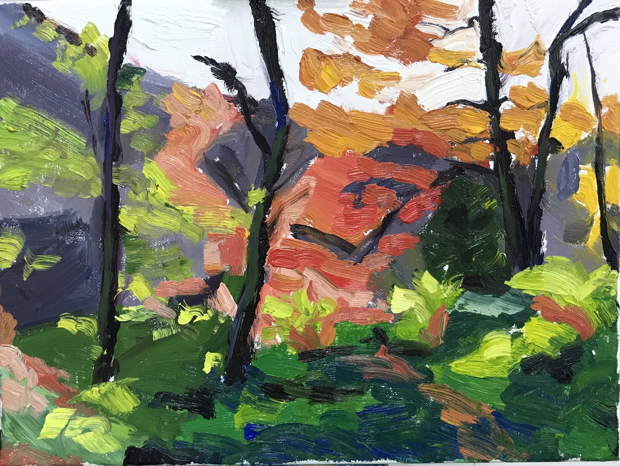 Giddy Little Holly Bush, Hardcastle Crags