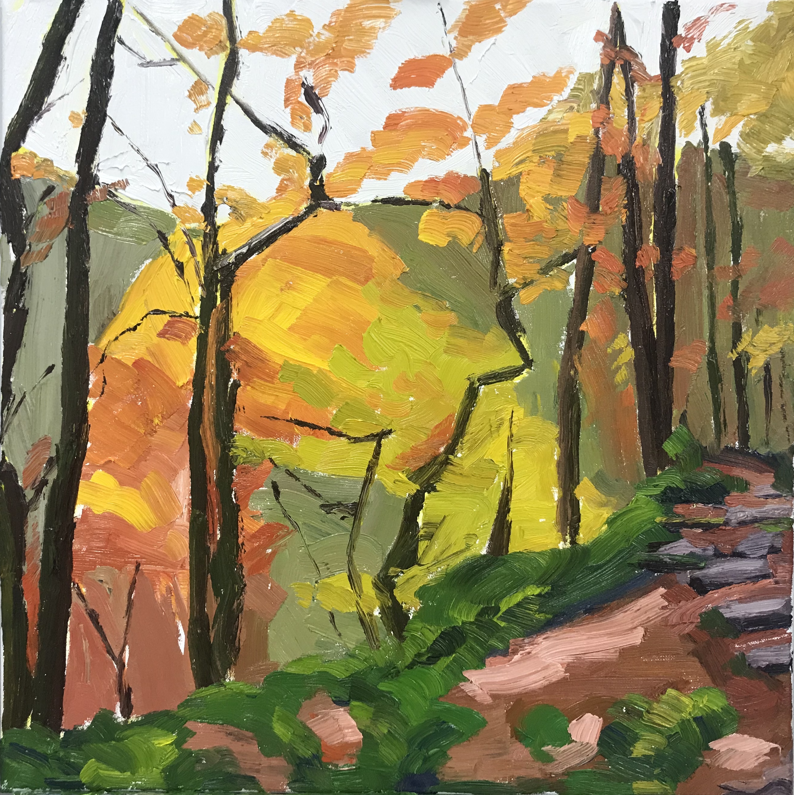 Damp Autumn Wood - Hardcastle Crags