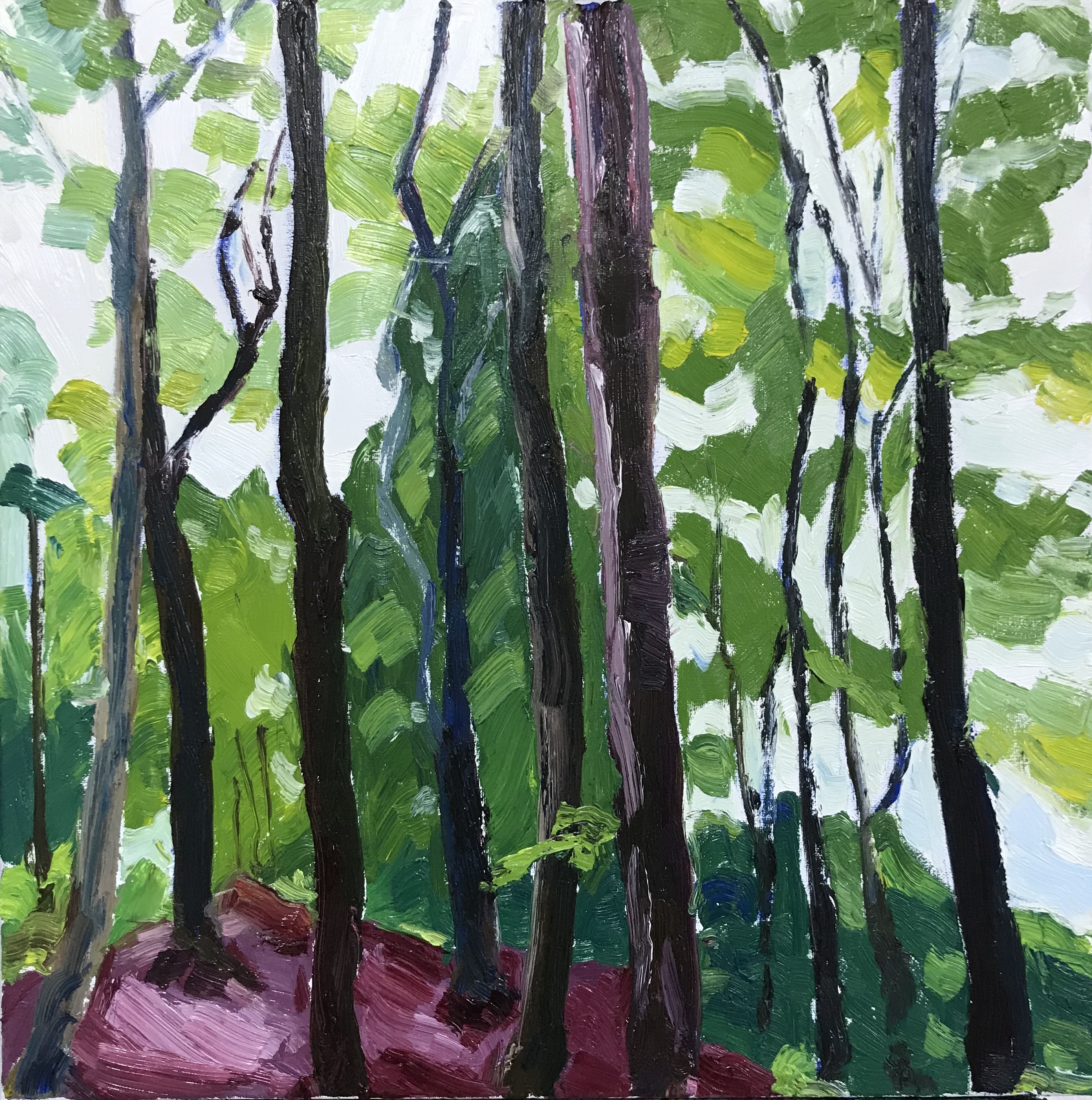 In The Green Wood, Hardcastle Crags