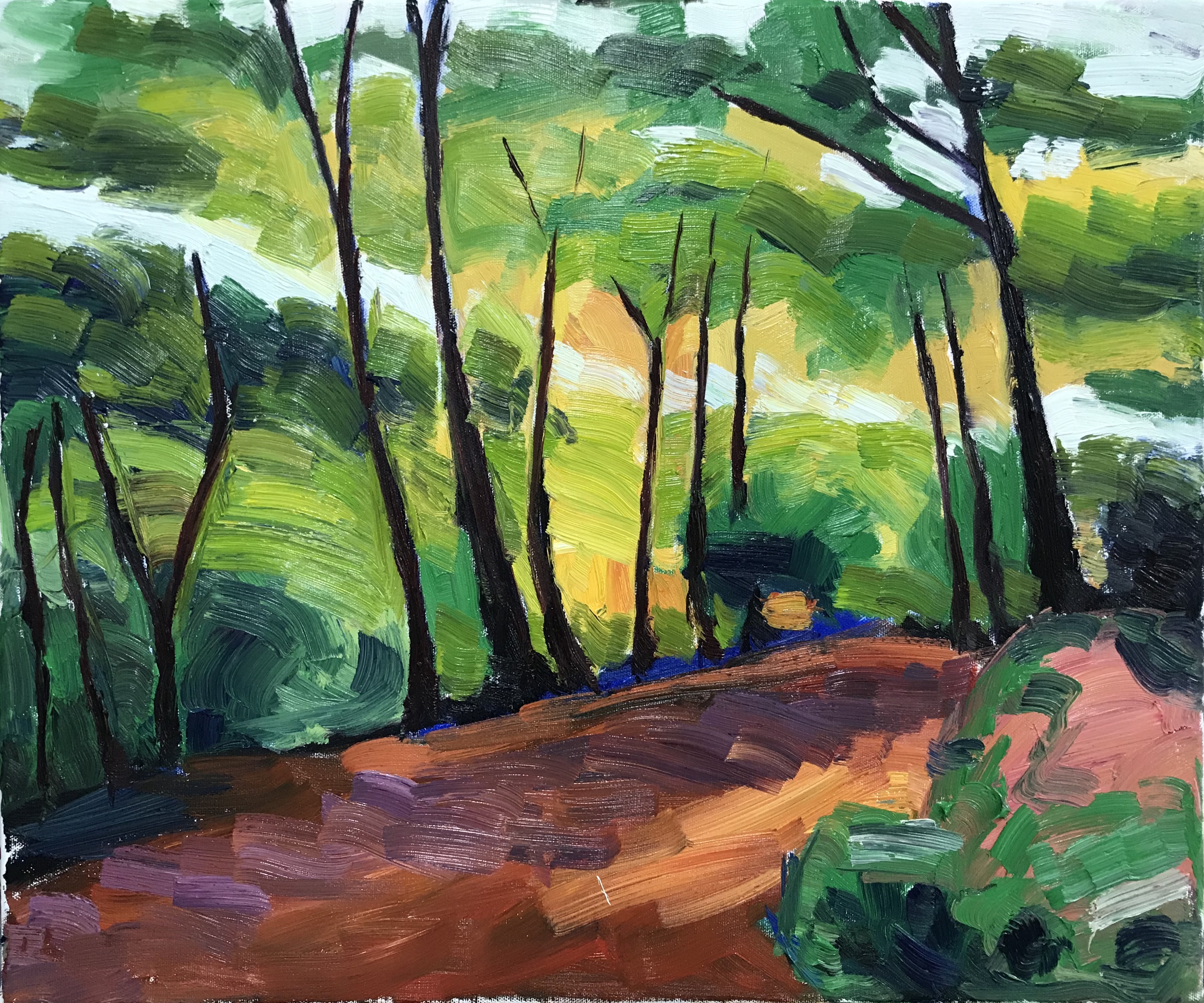 Tutti Frutti Trees, Lakes