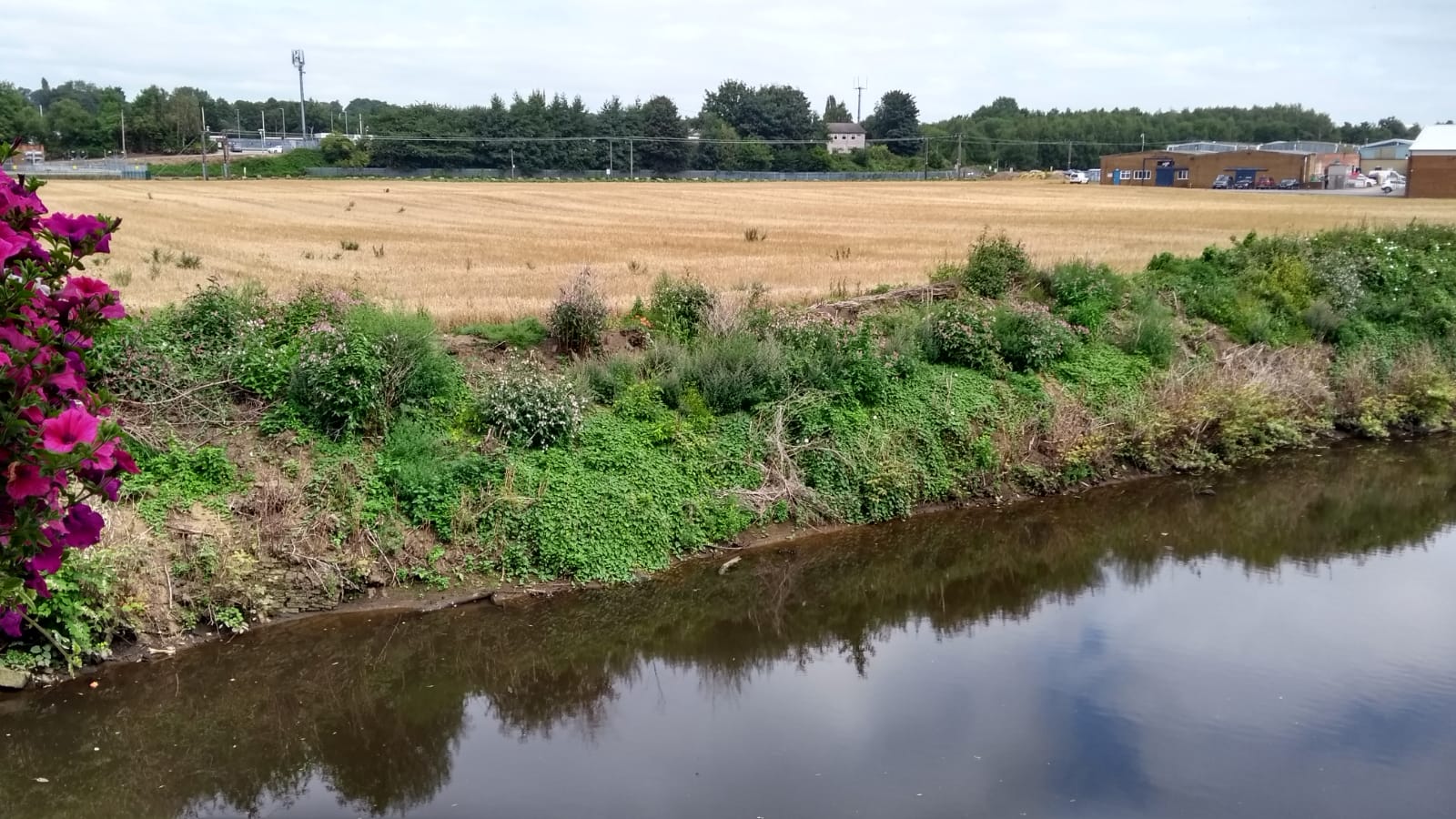 WhatsApp Image 2021 09 02 at 19.49.12