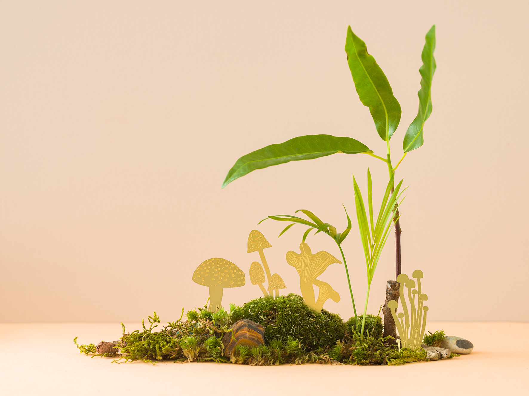 Mini Mushrooms Brass scene 2