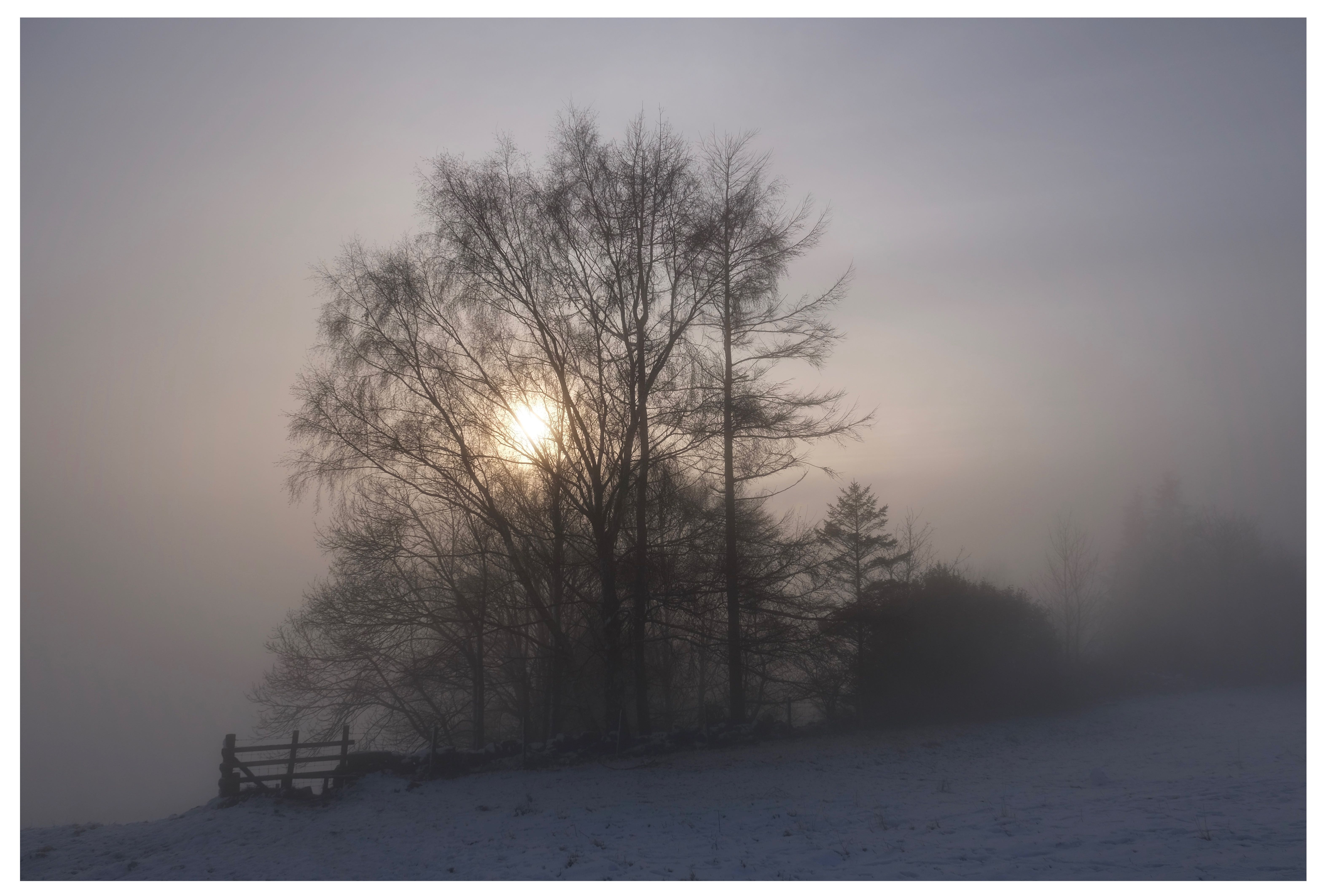 DSCF5056