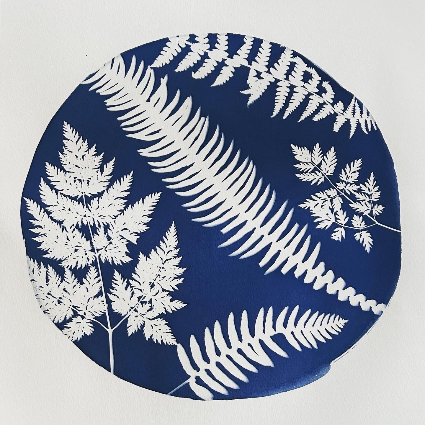 63C72FA6 EE0A 414B A4EA 33EE93B86AAE