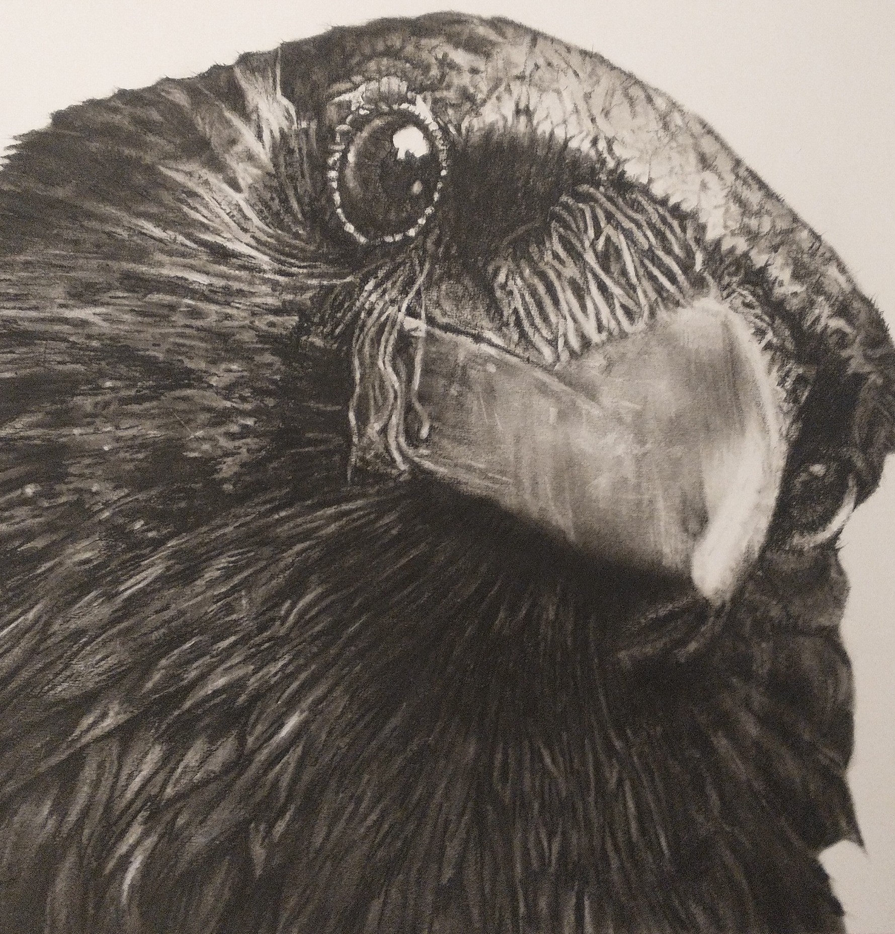 IMG 20231220 145840771