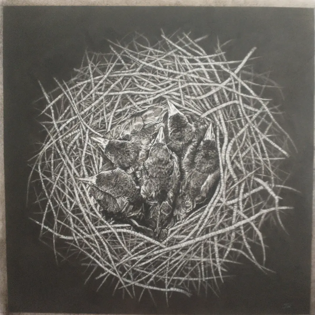 IMG 20231222 175606 824