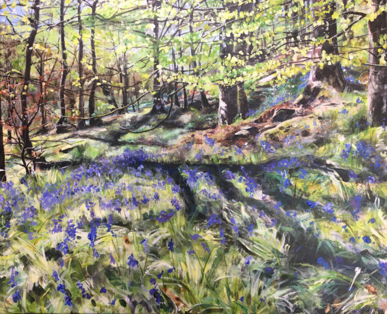 Julia Woodhouse bluebells at hardcastle crags 768x622