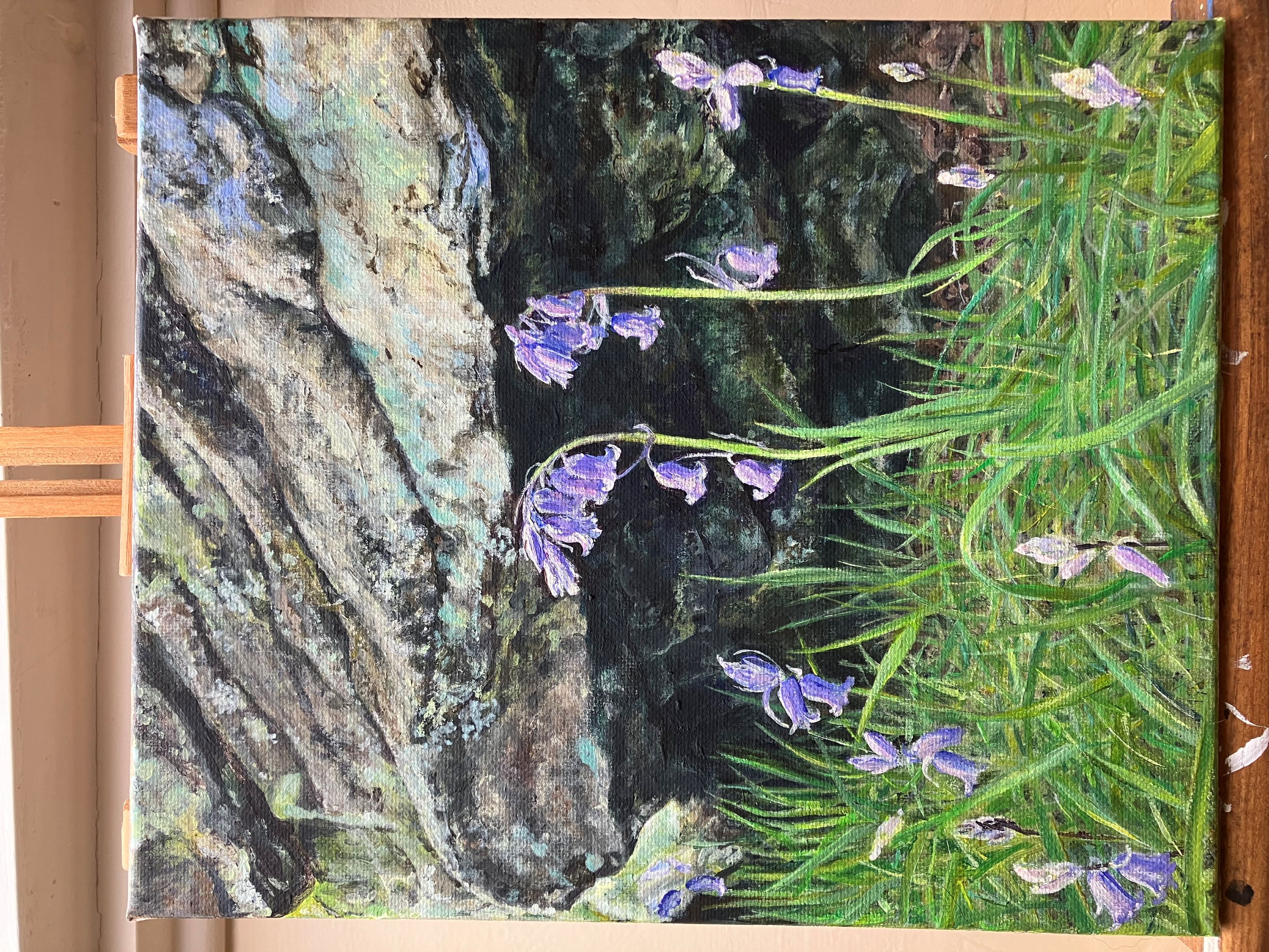 bluebells colden clough 1