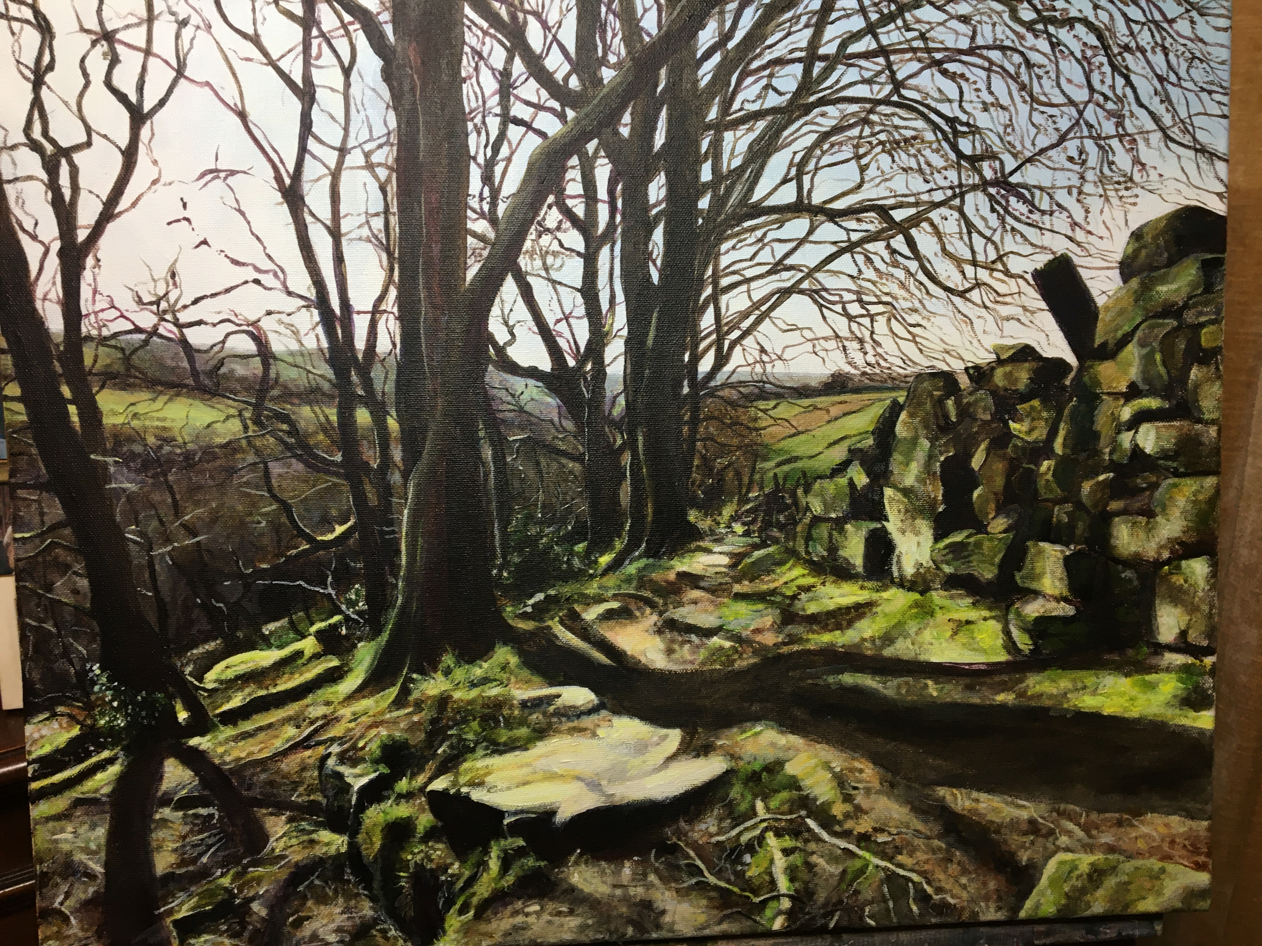 calderdale way at foster wood