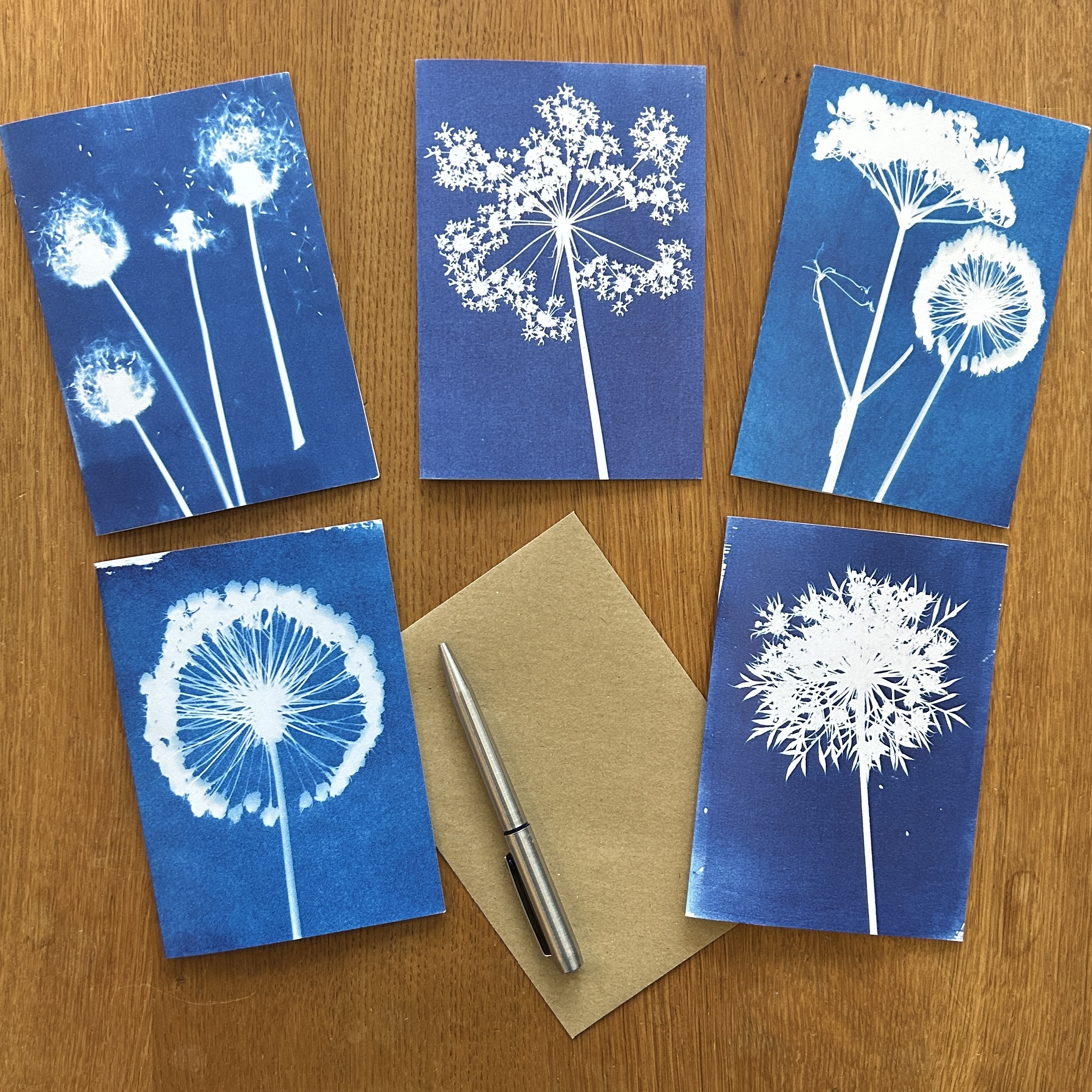 Rebekah Marrington 2