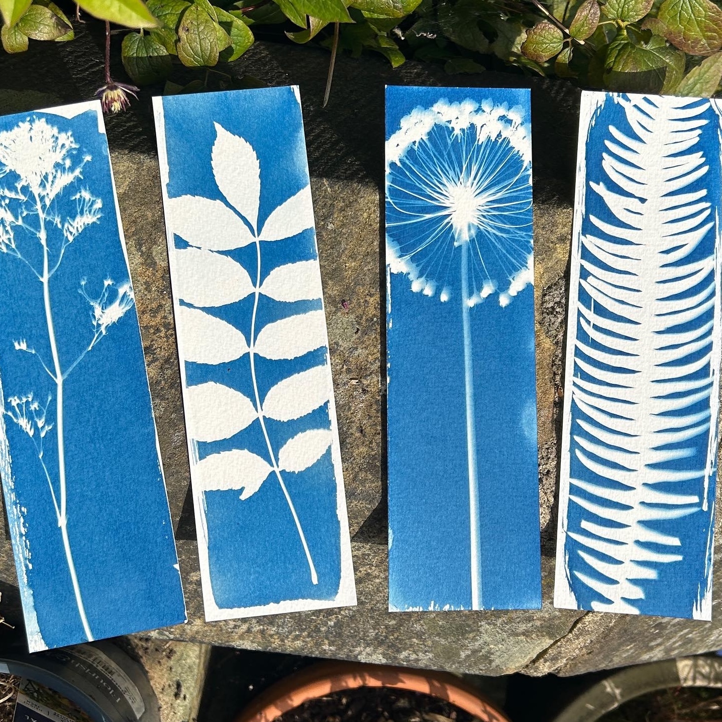 Rebekah Marrington 4