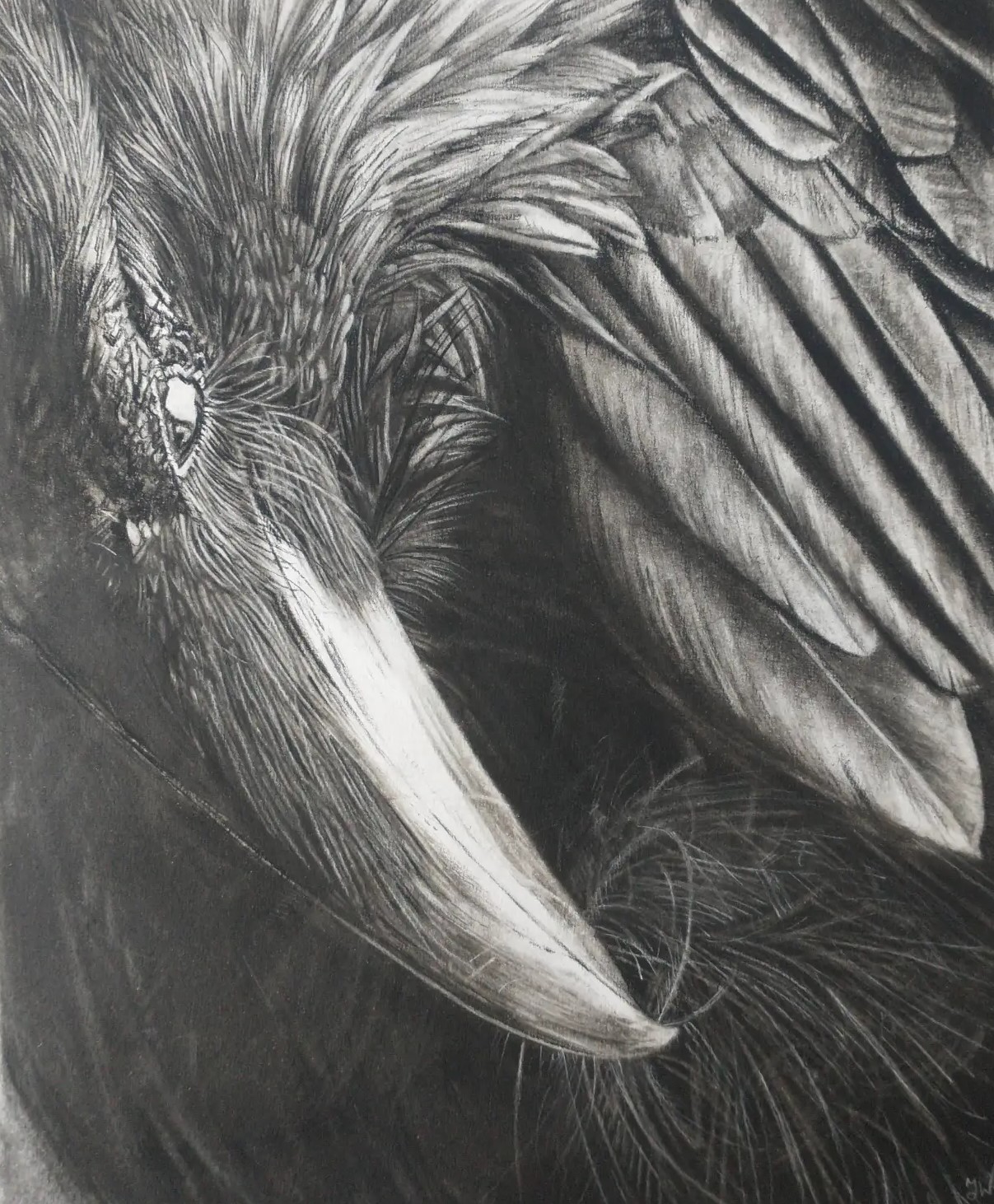 0331d85c16e42ee11abaf33afed1d091 0