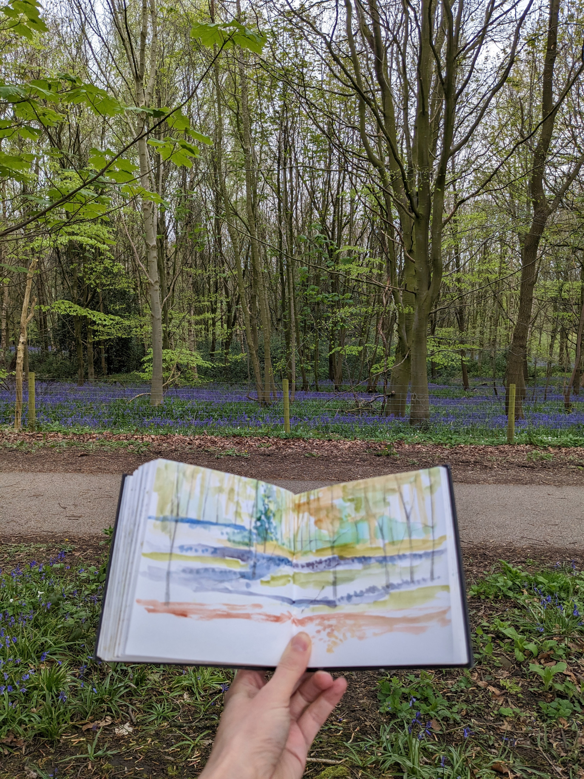 Bluebell sketchbook