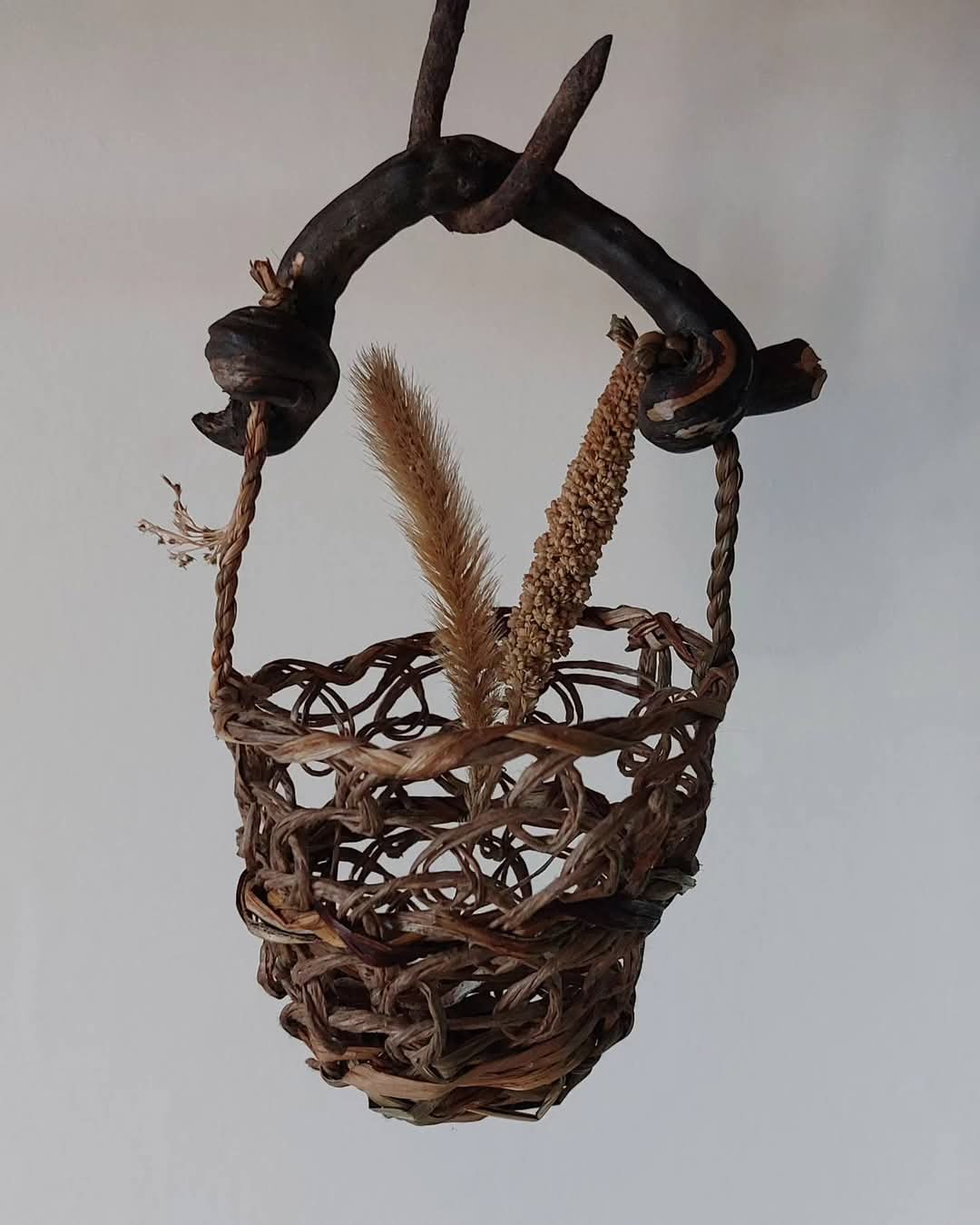 FB IMG 1738440855364