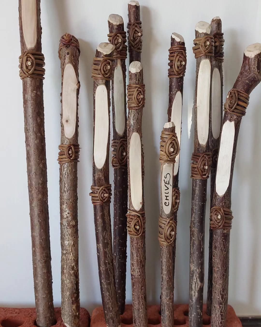 FB IMG 1738440865288