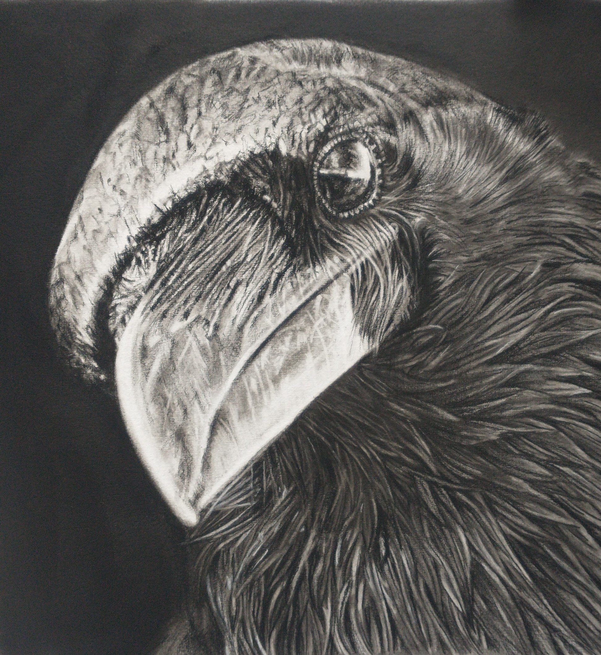 IMG 20250213 1012216172