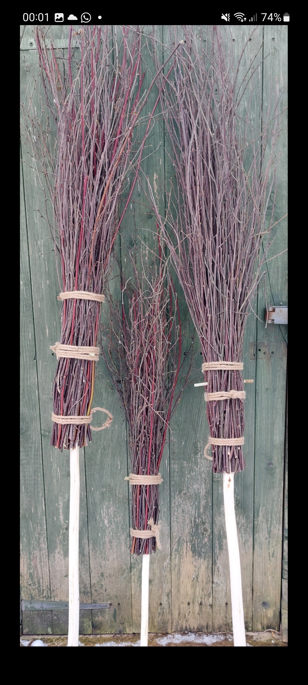 Screenshot 20241216 000128 OneDrive