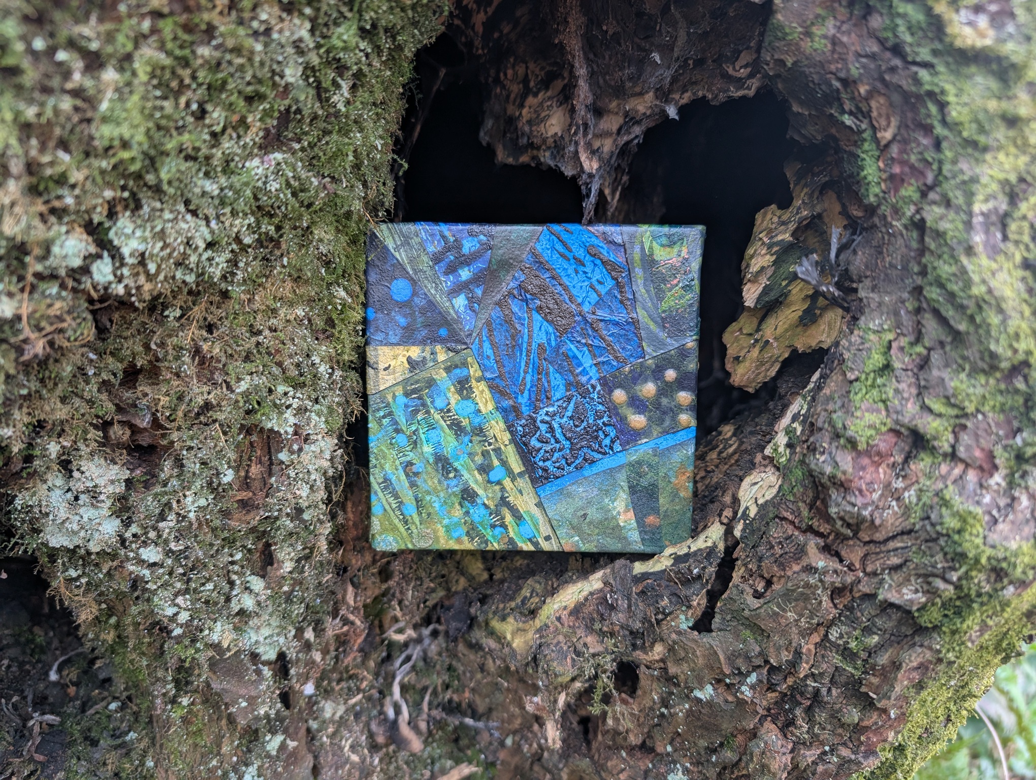 PXL 20250403 124935823 medium res