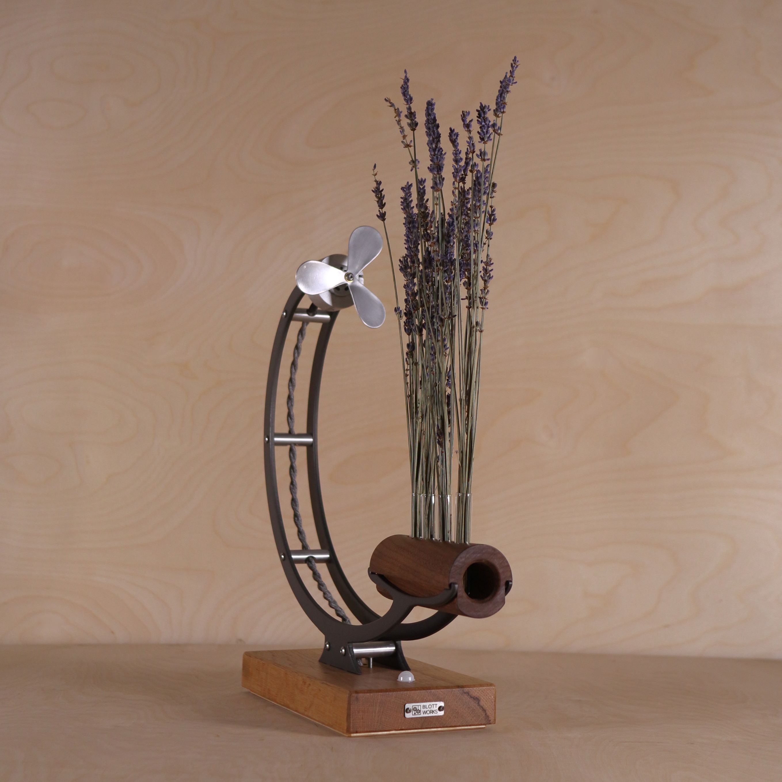 IMG 2843 cropped and reduced