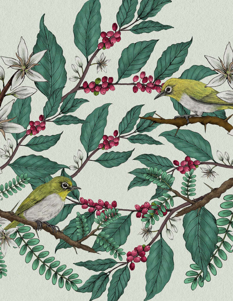 Wild Mountain illustration detail by Heidi Vilkman 768x992
